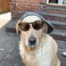 John McCredie - Facebook
