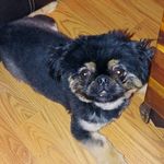 John McCroskey - @mccroskey399 - Instagram