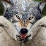 John McCroskey - @mccroskey774 - Instagram
