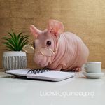 john mcCurdy - @john_mccurdy123 - Instagram