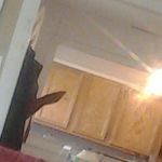 John McCurdy - @spidey8253 - Instagram