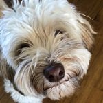 John McCurley - @john.mcc20 - Instagram