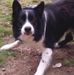 John Mcdade - Facebook