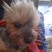 John Mcdade - Facebook