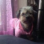 John Mcdade - @mmuker1957 - Instagram