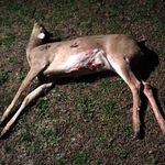 John mcdill - @johnmcdill1050 - Instagram