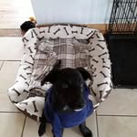 Jonny McElduff - @jonnymcelduff - Instagram