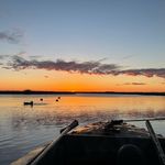 John McElfresh - @johnmcelfresh_wildfowl_art - Instagram