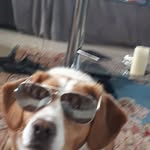 John McElroy - @john.mcelroy.1420354 - Instagram
