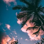 John McElroy - @john.mcelroy.332 - Instagram