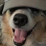 John McEntire - @mcentire9391 - Instagram