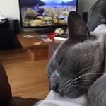 John McFarlane - @john_4smith - Instagram