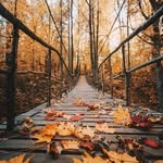 John McFetridge - @jmcfetri - Instagram