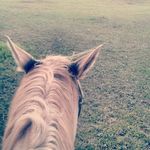 John Mcgaughey - @jmcgaughey28160 - Instagram