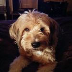John Mcgaughey - @mcgaugheyjohn - Instagram