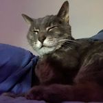 John Mcgaughey - @cron013 - Instagram