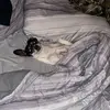 Jon McGee - @jon.mcgee - TikTok