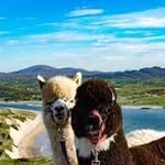 John McGonagle - @john.mcgonagle.961 - Instagram