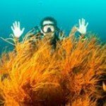 John McGonegal - @plainfast - Instagram