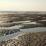 John McGrane - @john.mcgrane.3 - Instagram