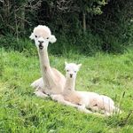 John McGrane - @johnmcg2023 - Instagram