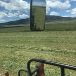 John McGraw - @amazing_lawns_n_gardens - Instagram