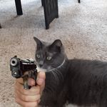 John McGraw - @john.mcgraw.54379236 - Instagram