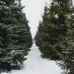 John Mcjunkin - @mcjunkin697 - Instagram