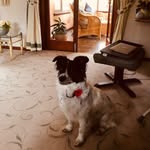 John McKellar - @yogis_da - Instagram