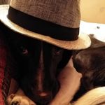 jmckevitt - @johnmckevitt123 - Instagram
