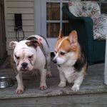 John McKiernan - @johnm3p - Instagram
