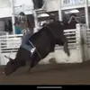 John Mckown279 - @johnmckown12 - TikTok