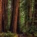 John McLaughlin - Facebook