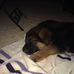 John McLean - Facebook