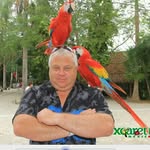 John Mcleroy - @johntatummcleroy - Instagram