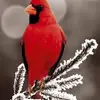 johndmccleskey - @johndmccleskey - TikTok