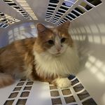 John Mcnabb - @mcnabb3535 - Instagram