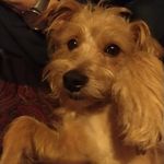 John McNamee - @john.mcnamee.3939 - Instagram