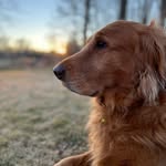 John McNamee - @jmac3388 - Instagram