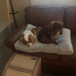 John McNutt - @jmcntt - Instagram