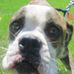 John McQuiston - Facebook