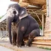 ritik_kumar - @john.mcquiston923 - TikTok