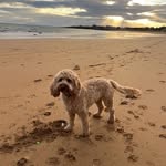 John McTigue - @j16mct - Instagram