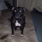 John Mcvay - @john.mcvay.5439 - Instagram