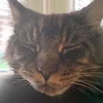 John Meader - @meader_john - Instagram