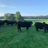 JohnMeaders - @johnmeaders - TikTok
