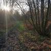 John Meares470 - @johnmeares470 - TikTok
