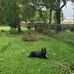 John Meares - Facebook
