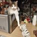 John Mears - Facebook