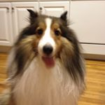 john - @john_medlock_lm - Instagram